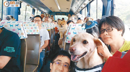 狗巴士停駛三個月後復辦，吸引近八十名狗主與愛犬乘搭。（梁可瑩攝）