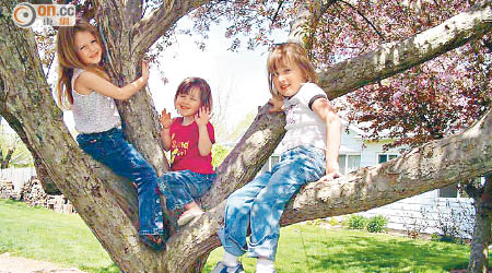 兒童多玩戶外活動例如爬樹，有助增強記憶力。（資料圖片）
