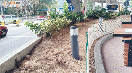 有市民發現筲箕灣東喜道休憩處的花槽「光禿禿」及積聚煙蒂，不滿康文署管理不善。