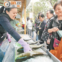 本地漁農美食迎春嘉年華昨起一連四日舉行，吸引不少市民到場購物。