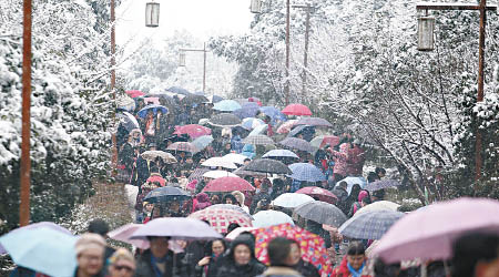 重慶 <br>重慶鴻恩寺公園有大批民眾前來賞雪。（互聯網圖片）