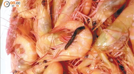 市民在酒樓吃白灼蝦時，發現蝦上有蠕動的黑色異物，但食署未有檢控。（申訴專員公署提供）