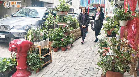 北角城市花園道有花店於店外放置大量盆栽，被指對行人造成不便。