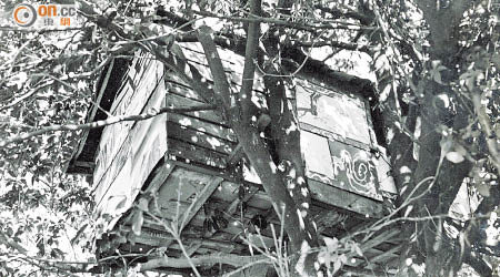 筲箕灣的樹屋面積約七呎乘四呎大，內裏住了兩個人。