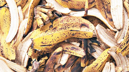 蕉皮的斑點含酪氨酸酶，與皮膚癌病發時驗出的酪氨酸酶相同。
