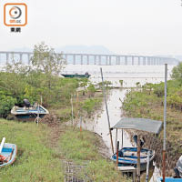 前晚搶灘的人蛇登陸點接近深圳灣公路大橋。