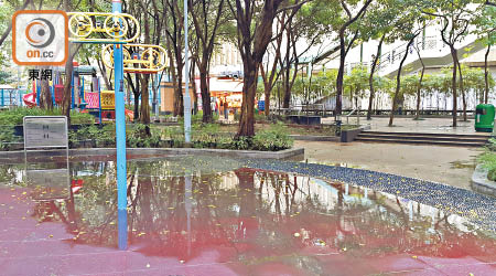 怡泰街休憩處健體設施雨天後被積水淹浸，康文署指現時已加強清理。