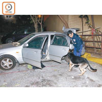 探員派出警犬搜查私家車。（沈厚錚攝）