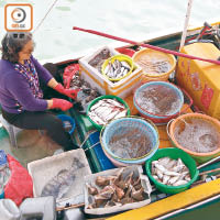 大澳艇家指魚獲從附近水域捕捉。