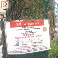 康文署通告指已施用殺蟲劑為樹木除蟲。