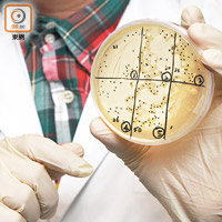 3.培植後計算出每個樣本的細菌菌落總數。