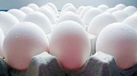 美國研究人員以蛋殼製造環保塑膠材料。（互聯網圖片）