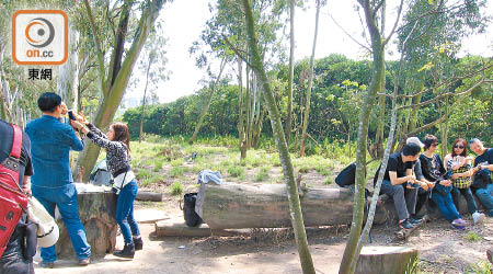 數名遊人在右邊倒下的樹幹上排排坐，一男一女則在左邊餘幹為嬰兒換尿片。（「執執佢」提供）
