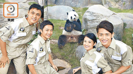 海洋公園五月舉辦「親親熊貓月」，推出各項優惠。