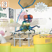 香港科學館<BR>館內有巨型蒼蠅的模型，適合一家大細遊玩。