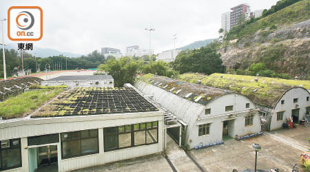 中大夏鼎基運動場旁邊的六間鐵皮屋，屋頂種有植物。（黃仲民攝）