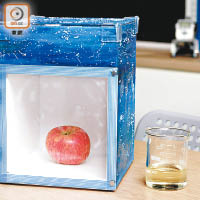 「STEM燻蘋果箱」可以令蘋果不會因氧化而變黃。