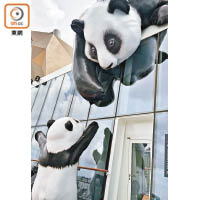 甲板獨有的巨型熊貓雕塑，最能吸引乘客眼球。