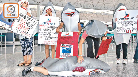 上月底有身穿鯊魚服飾的環保人士到機場的國泰櫃位抗議，要求全面停止運送魚翅。（資料圖片）