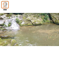 梅子林村的儲水池不時被污染。