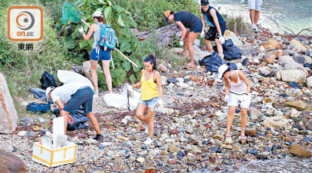 香港仔避風塘一帶有大量海洋垃圾，不單是環保問題，也帶來環境衞生的威脅。（袁志豪攝）
