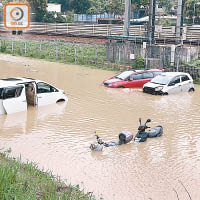今年三月大埔有輸水管爆裂造成水浸。