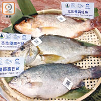 漁護署推出二維碼標籤計劃，將記錄了養殖魚的來源及食品安全檢測結果等資料的標籤，掛在漁產品身上。