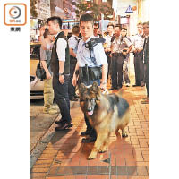 警員帶同警犬到場戒備。