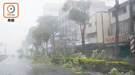 台灣<br>高雄市區整排路樹被吹倒，車輛行經相當危險。（中時電子報圖片）