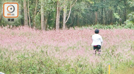 觀塘馬游塘<br>一名女子闖入馬游塘中堆填區。