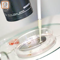 最新儀器以「單細胞基因技術」檢測卵子質素。