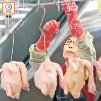 處理雞肉的過程要衞生。（資料圖片）