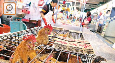 臨近冬至，本港出現禽流感人類確診個案，影響活雞銷情。（袁志豪攝）