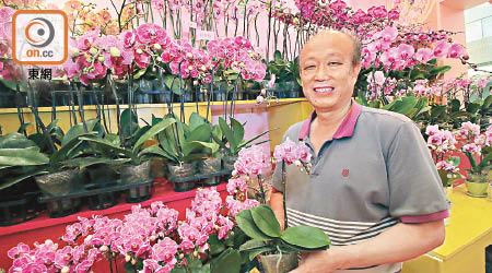 楊生說繼續不加價供市民選購蘭花。