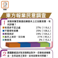 東方報業民意調查