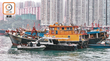 香港仔避風塘有漁船被「海盜」扮拜年偷竊。（林珮淇攝）