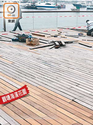 觀塘海濱花園<br>記者上月到觀塘海濱花園視察，該處正在進行換木板工程。
