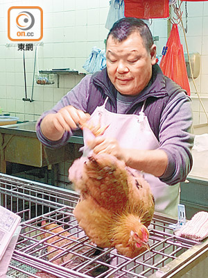香港<br>活雞仍然受本港市民歡迎。（朱先儒攝）