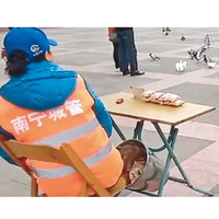 南寧市民照樣餵飼野鴿，飼料由疑似城管人員兜售。（互聯網圖片）