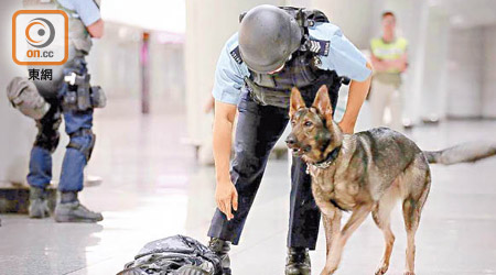 警方又出動警犬協助反恐演習行動。