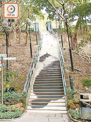 荃灣的「巨貓」樓梯，為香港著名畫家歐陽乃霑的作品「蝴蝶蘭」。（甘偉倫攝）
