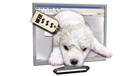 大埔賣家在網上出售不足一個月大的幼犬。（互聯網圖片）