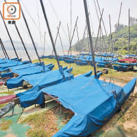 香港雙體帆船會對出放置約二十隻帆船。