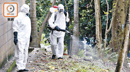 食環署昨派員到大埔多處滅蚊，在花槽噴灑滅蚊劑。（黃偉邦攝）