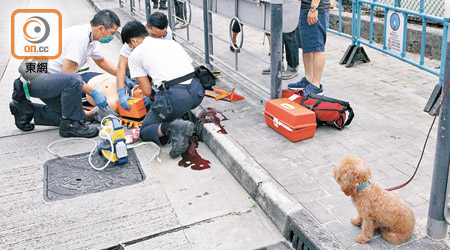 救護員為傷者急救，愛犬在旁守候。（郭垂垂攝）