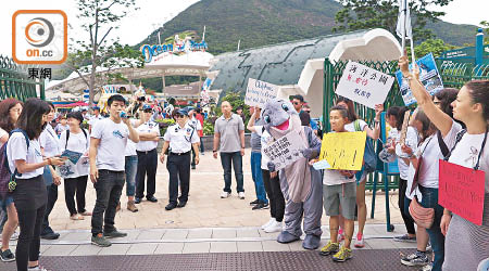 約四十名「豚聚一家」成員及市民昨到海洋公園抗議，要求取消動物表演。（「豚聚一家」提供）