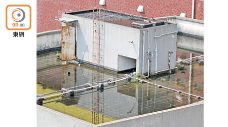 紅磡市立殯儀館的天台積水充斥每一角落。（朱先儒攝）