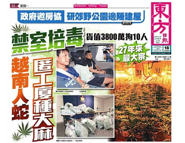 禁室培毒越南人蛇匿工廈種大麻