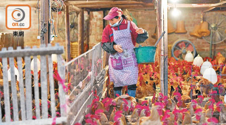 內地的禽流感疫情持續有新個案。