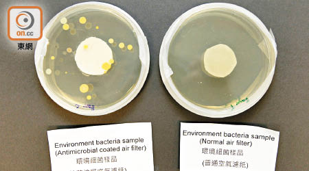 經微膠囊液過濾網過濾出的環境細菌樣本（左）及一般過濾紙過濾後的樣本（右）。